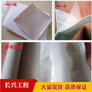 各种型号 复合土工膜  欢迎前来咨询
